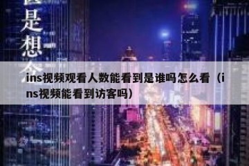 ins视频观看人数能看到是谁吗怎么看（ins视频能看到访客吗）