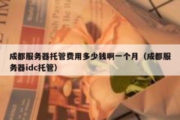 成都服务器托管费用多少钱啊一个月（成都服务器idc托管）