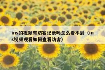 ins的视频有访客记录吗怎么看不到（ins视频观看如何查看访客）