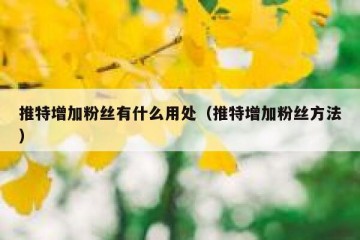 推特增加粉丝有什么用处（推特增加粉丝方法）