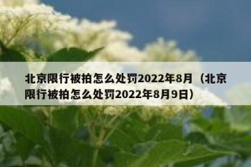北京限行被拍怎么处罚2022年8月（北京限行被拍怎么处罚2022年8月9日）