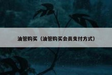 油管购买（油管购买会员支付方式）