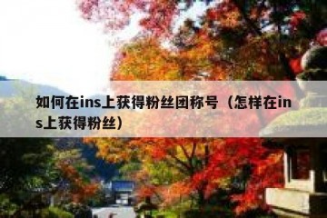 如何在ins上获得粉丝团称号（怎样在ins上获得粉丝）