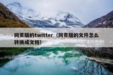 网页版的twitter（网页版的文件怎么转换成文档）