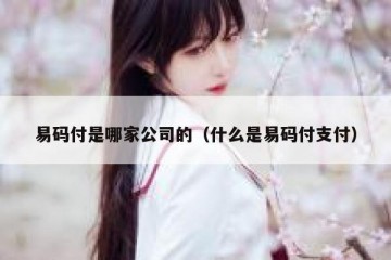 易码付是哪家公司的（什么是易码付支付）