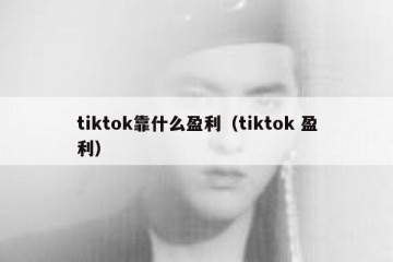 tiktok靠什么盈利（tiktok 盈利）