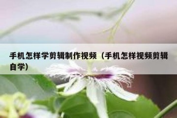 手机怎样学剪辑制作视频（手机怎样视频剪辑自学）