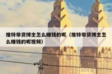 推特带货博主怎么赚钱的呢（推特带货博主怎么赚钱的呢视频）