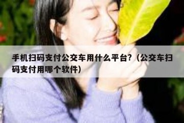 手机扫码支付公交车用什么平台?（公交车扫码支付用哪个软件）