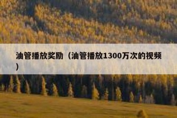 油管播放奖励（油管播放1300万次的视频）