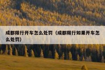 成都限行开车怎么处罚（成都限行如果开车怎么处罚）