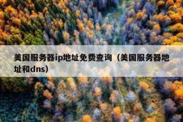 美国服务器ip地址免费查询（美国服务器地址和dns）