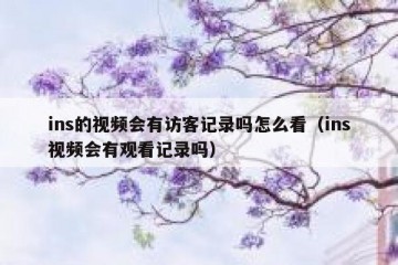 ins的视频会有访客记录吗怎么看（ins视频会有观看记录吗）