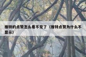推特的点赞怎么看不见了（推特点赞为什么不显示）