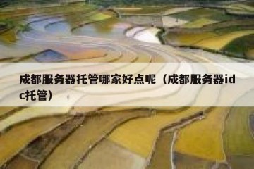 成都服务器托管哪家好点呢（成都服务器idc托管）