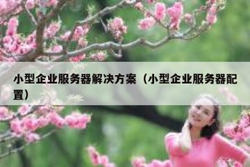 小型企业服务器解决方案（小型企业服务器配置）