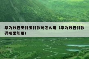 华为钱包支付宝付款码怎么用（华为钱包付款码哪里能用）