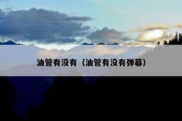 油管有没有（油管有没有弹幕）