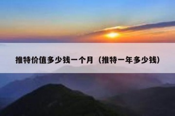 推特价值多少钱一个月（推特一年多少钱）