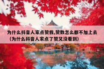 为什么抖音人家点赞我,赞数怎么都不加上去（为什么抖音人家点了赞又没看到）