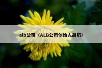 alb公司（ALB公司创始人简历）