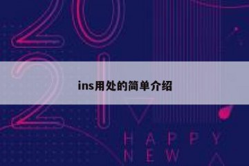 ins用处的简单介绍