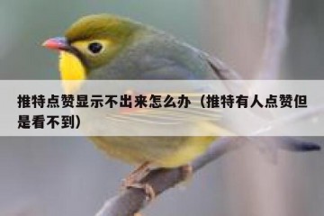 推特点赞显示不出来怎么办（推特有人点赞但是看不到）