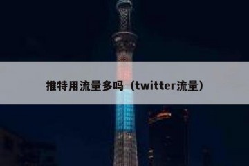推特用流量多吗（twitter流量）