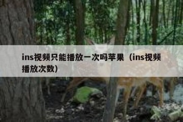 ins视频只能播放一次吗苹果（ins视频播放次数）