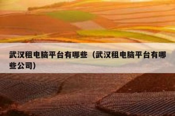 武汉租电脑平台有哪些（武汉租电脑平台有哪些公司）