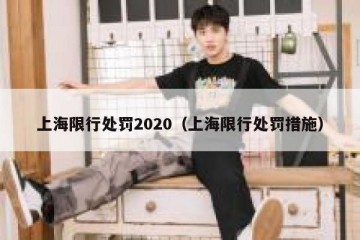 上海限行处罚2020（上海限行处罚措施）