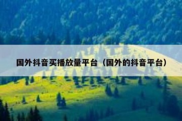 国外抖音买播放量平台（国外的抖音平台）