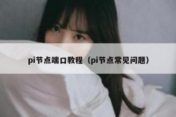 pi节点端口教程（pi节点常见问题）