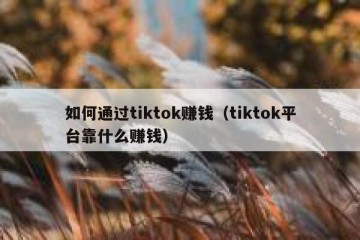 如何通过tiktok赚钱（tiktok平台靠什么赚钱）