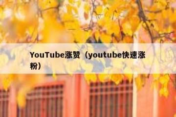 YouTube涨赞（youtube快速涨粉）