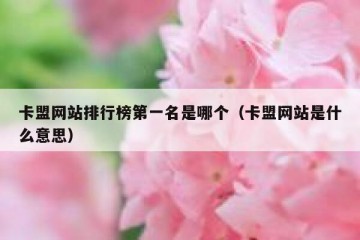 卡盟网站排行榜第一名是哪个（卡盟网站是什么意思）