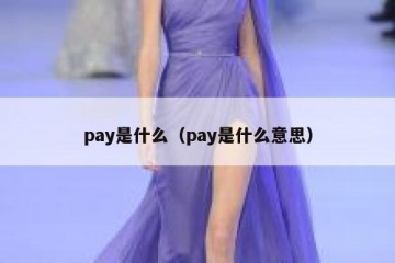 pay是什么（pay是什么意思）