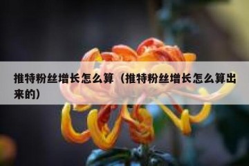 推特粉丝增长怎么算（推特粉丝增长怎么算出来的）