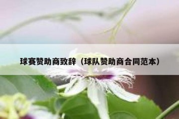 球赛赞助商致辞（球队赞助商合同范本）