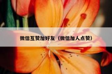 微信互赞加好友（微信加人点赞）