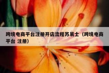 跨境电商平台注册开店流程苏易士（跨境电商平台 注册）
