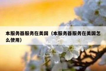 本服务器服务在美国（本服务器服务在美国怎么使用）