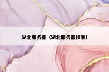 湖北服务器（湖北服务器核酸）