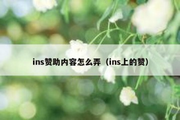 ins赞助内容怎么弄（ins上的赞）