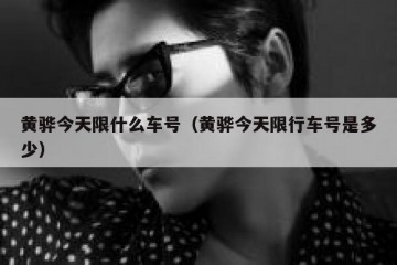 黄骅今天限什么车号（黄骅今天限行车号是多少）