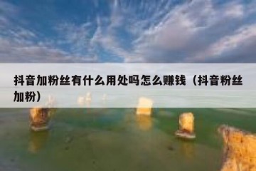 抖音加粉丝有什么用处吗怎么赚钱（抖音粉丝加粉）