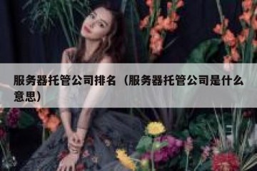 服务器托管公司排名（服务器托管公司是什么意思）