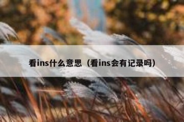 看ins什么意思（看ins会有记录吗）