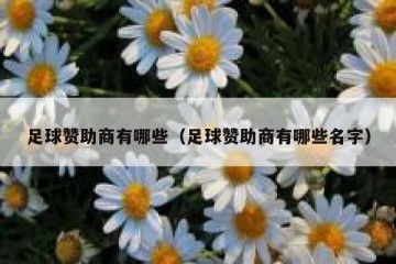 足球赞助商有哪些（足球赞助商有哪些名字）