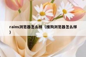 rains浏览器怎么样（搜狗浏览器怎么样）